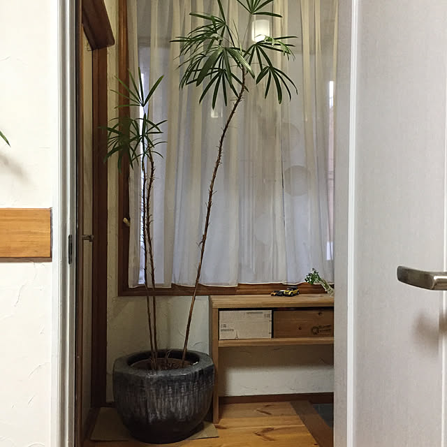 remiさんの実例写真