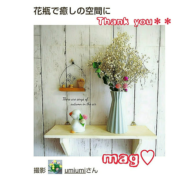 umiumiさんの実例写真