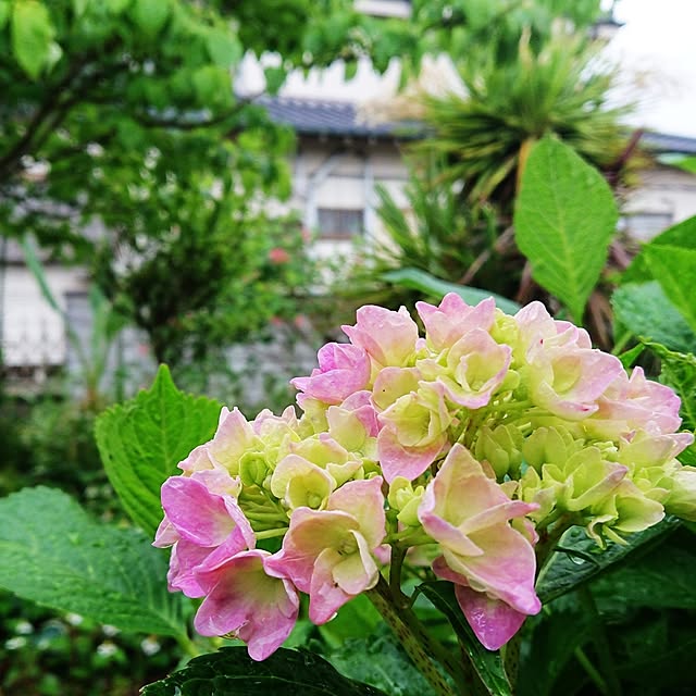 ot-gardenさんの実例写真