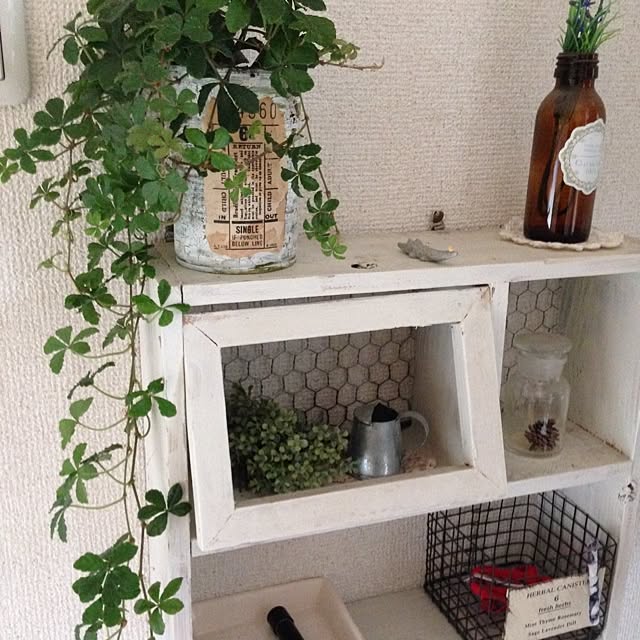 Maiさんの実例写真