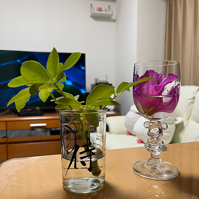 koitanさんの部屋
