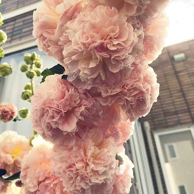 kiraさんの部屋