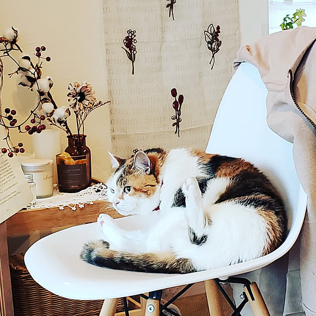 megu.catさんの実例写真