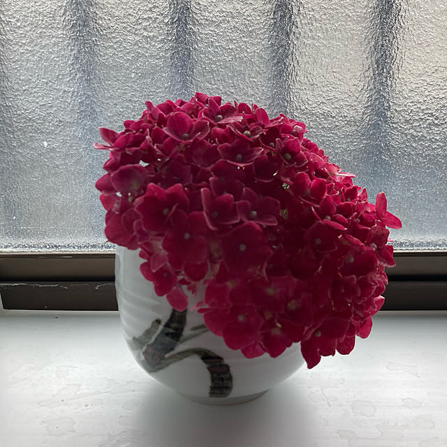 yukitamaさんの実例写真