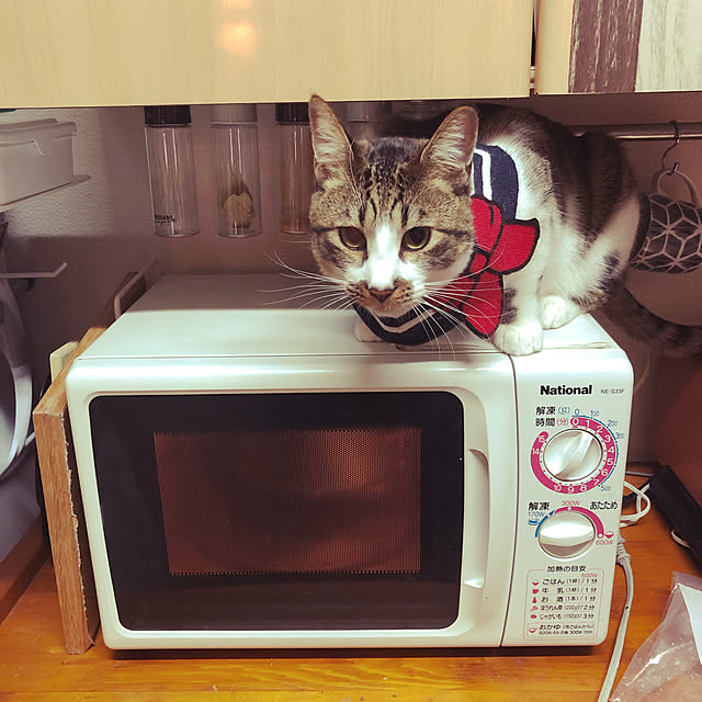 jijiさんの実例写真