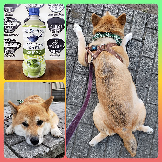 nanaさんの実例写真