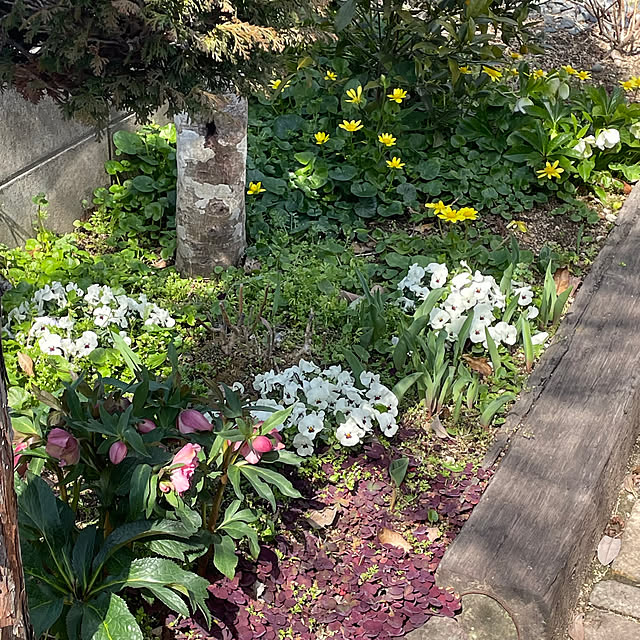 nobikoさんの部屋