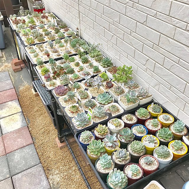ecoさんの実例写真