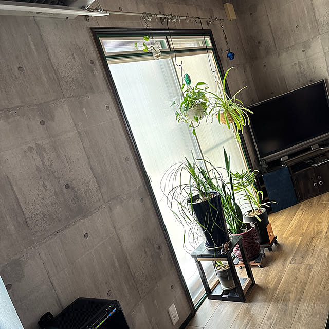 omasaさんの実例写真