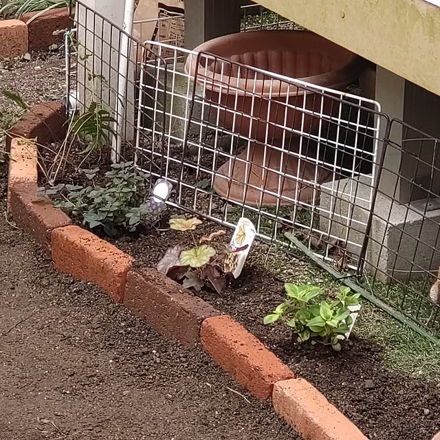 Bienvenueさんの部屋