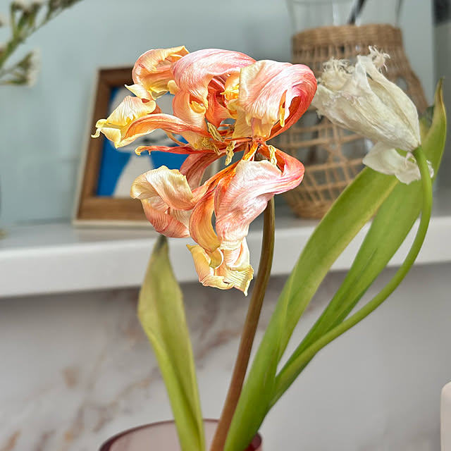 miyu39さんの部屋