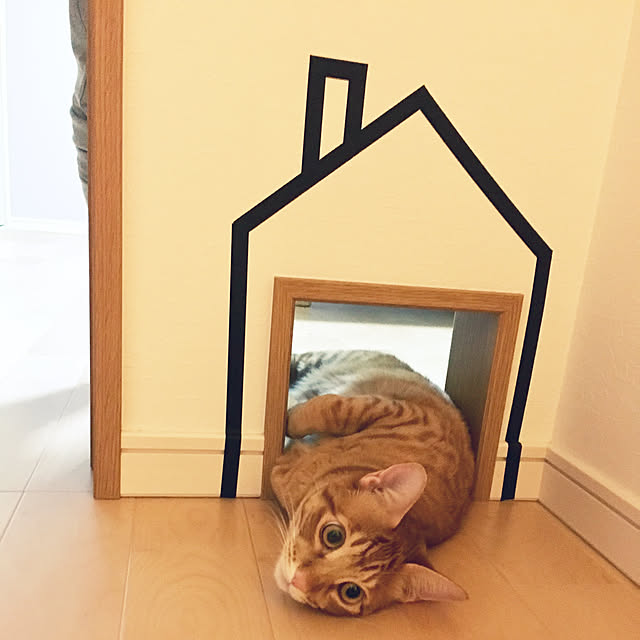 kichiさんの実例写真