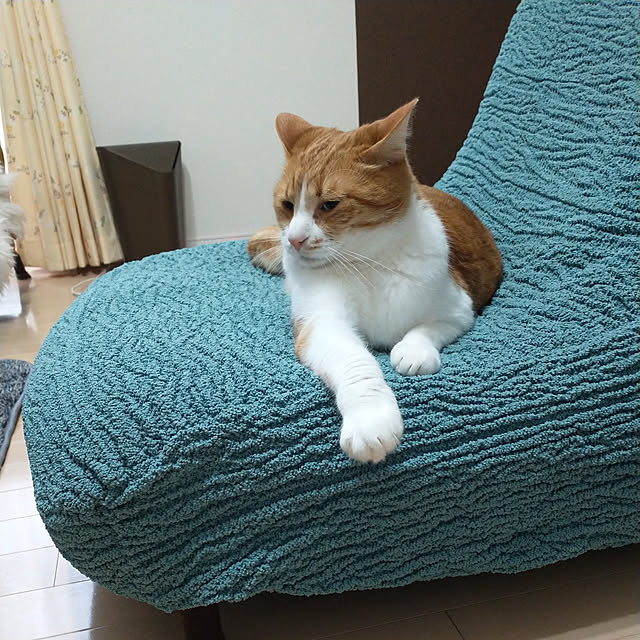 suisaiさんの実例写真