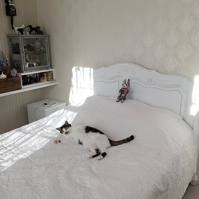 yuchiさんの実例写真