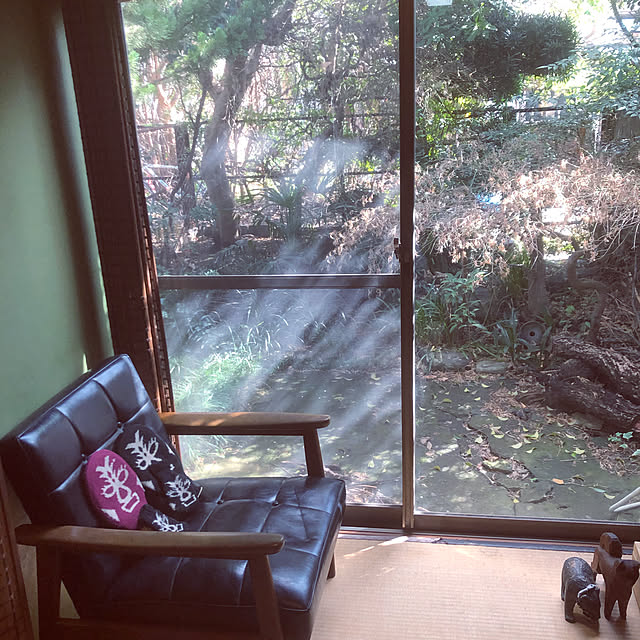 neko-2.2.2runmuさんの実例写真