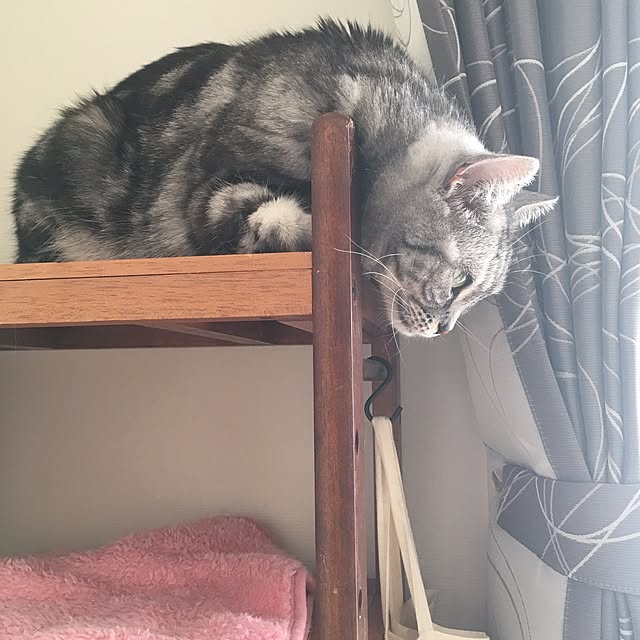 mikomaruさんの実例写真