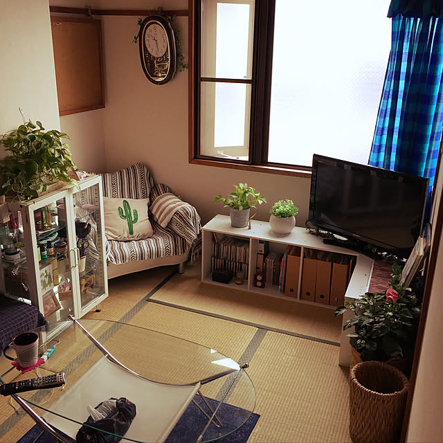 実例写真