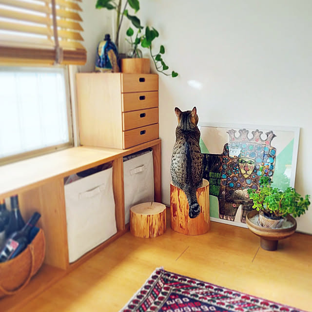 dekoさんの実例写真