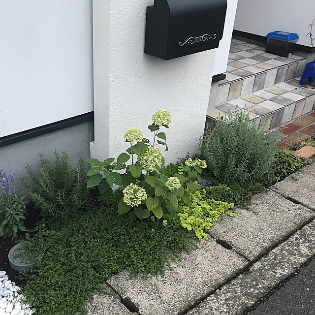 ojijiさんの実例写真
