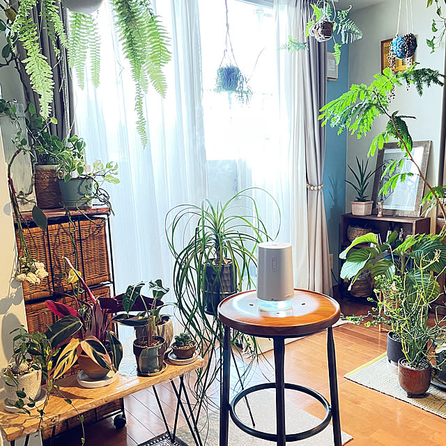 miyamiyaさんの部屋