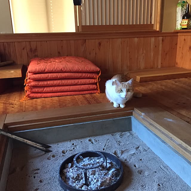 AkemiandChipさんの実例写真