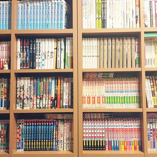 pecorinoさんの実例写真