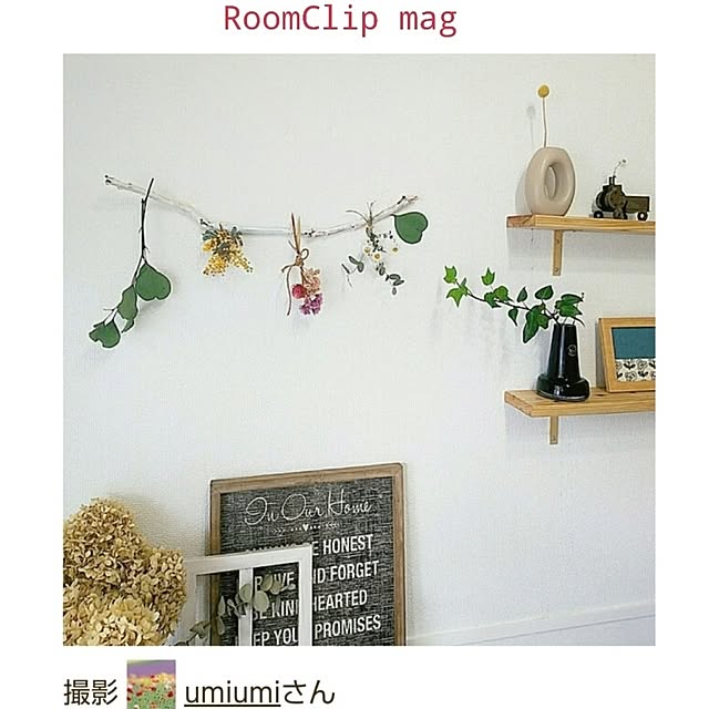 umiumiさんの実例写真