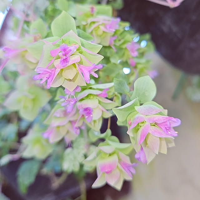 mocomocoさんの部屋