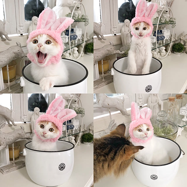 yuchiさんの実例写真