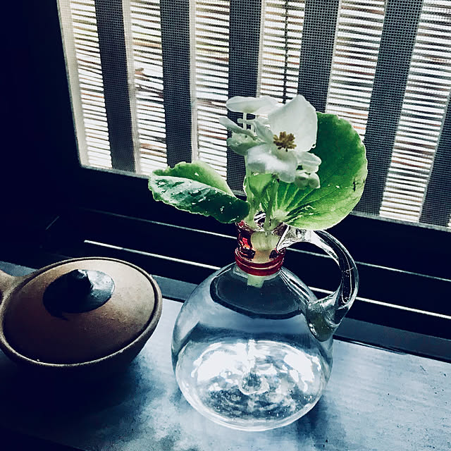 maroさんの実例写真