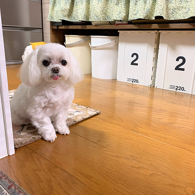 ponyoさんの部屋