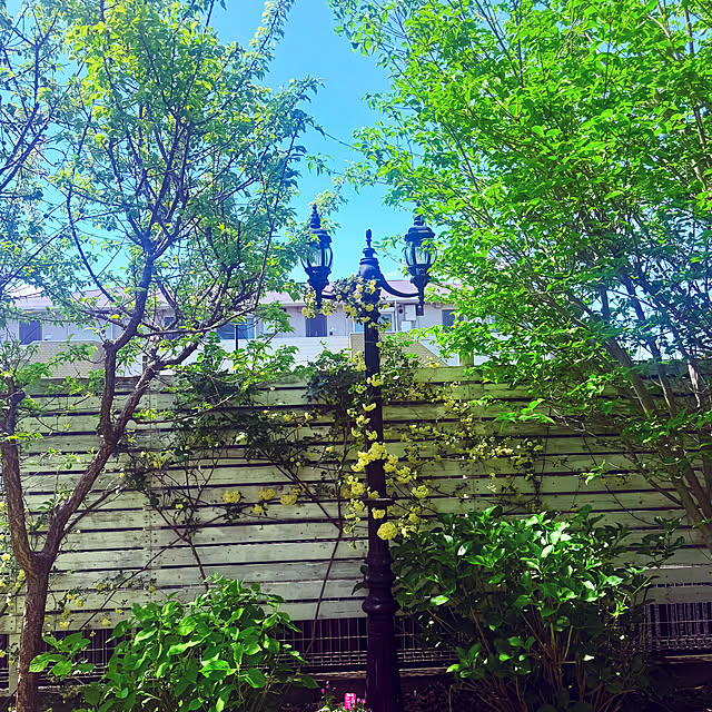 countryさんの実例写真