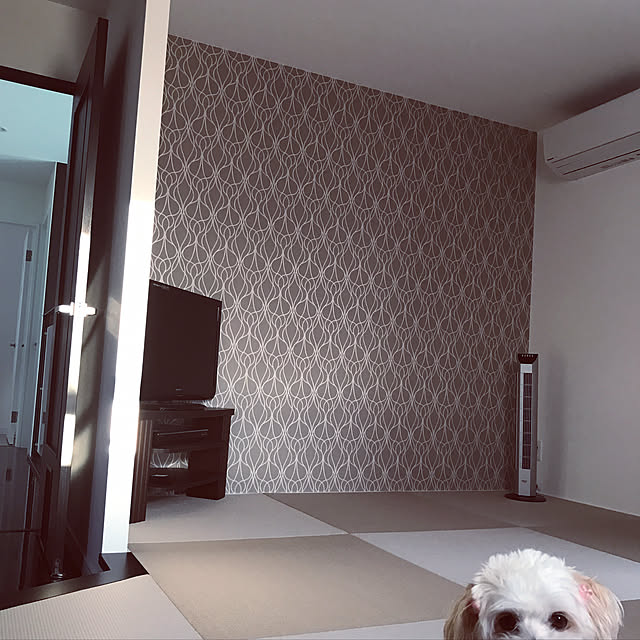 hapikoさんの実例写真