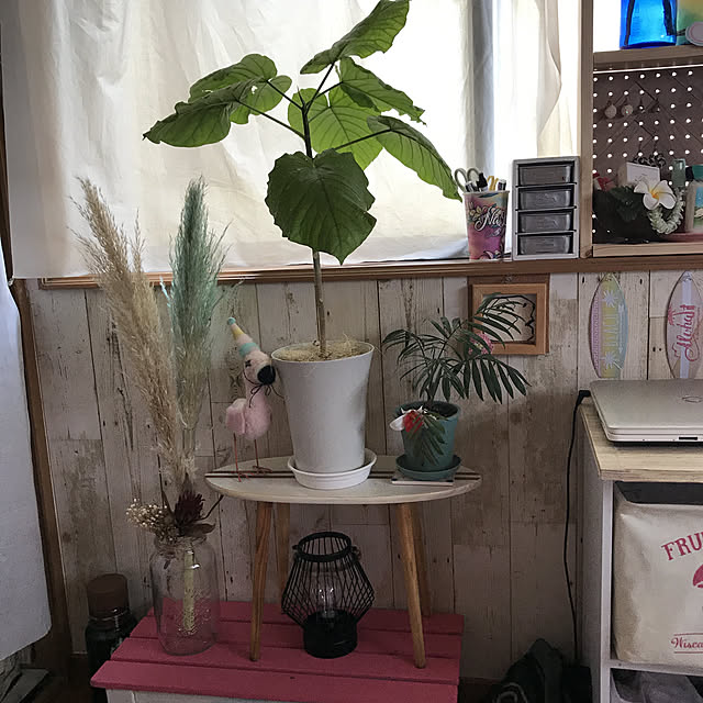 ariceさんの実例写真