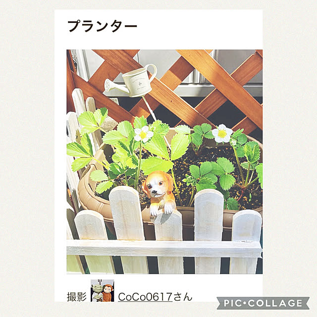CoCo0617さんの実例写真