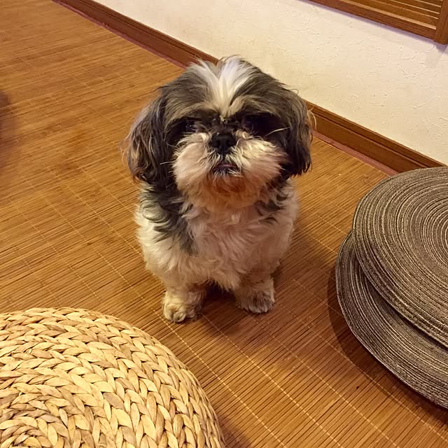 butachanさんの実例写真