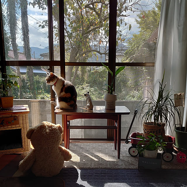 fukuさんの実例写真