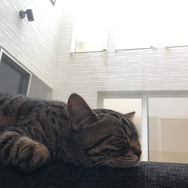 saeさんの実例写真