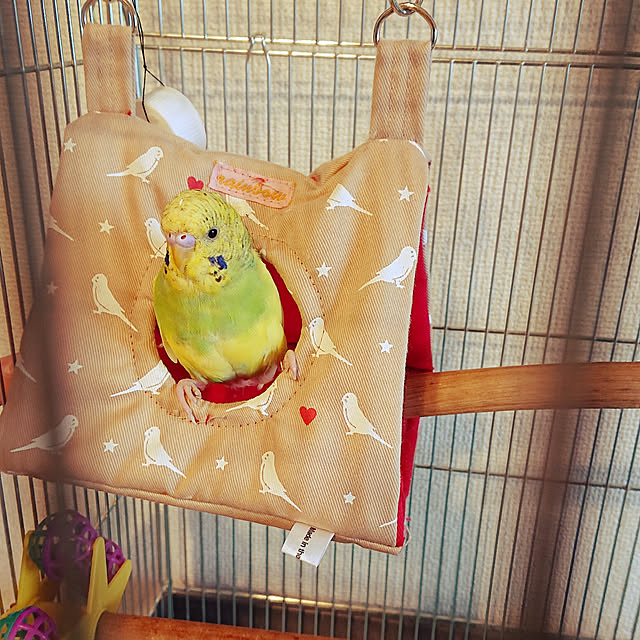 kyonさんの実例写真