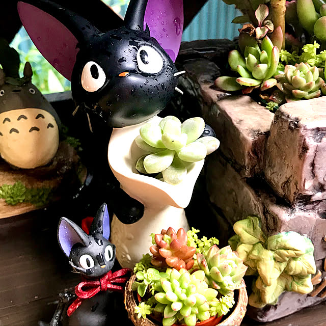 butachanさんの実例写真