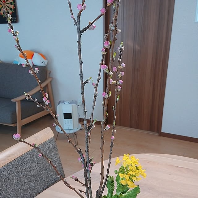 coconathuさんの実例写真