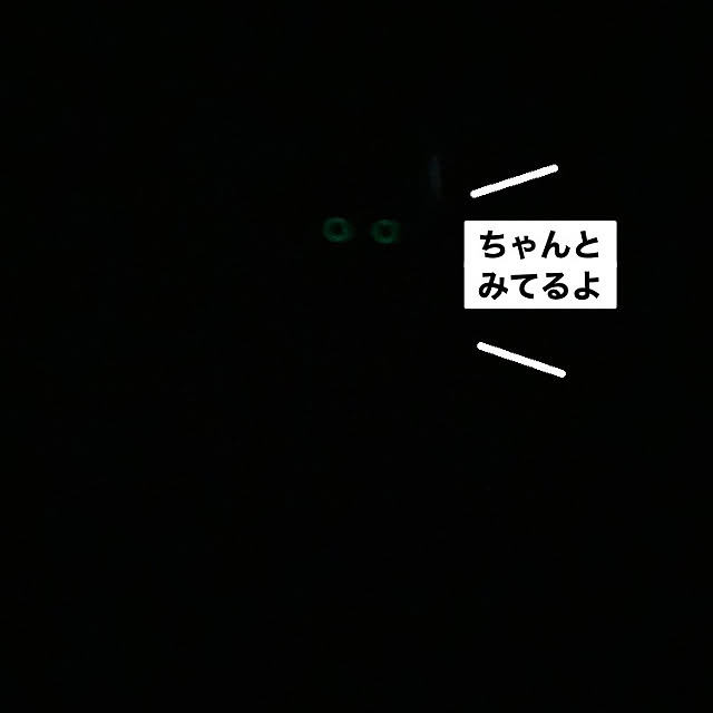 manduonmaさんの部屋