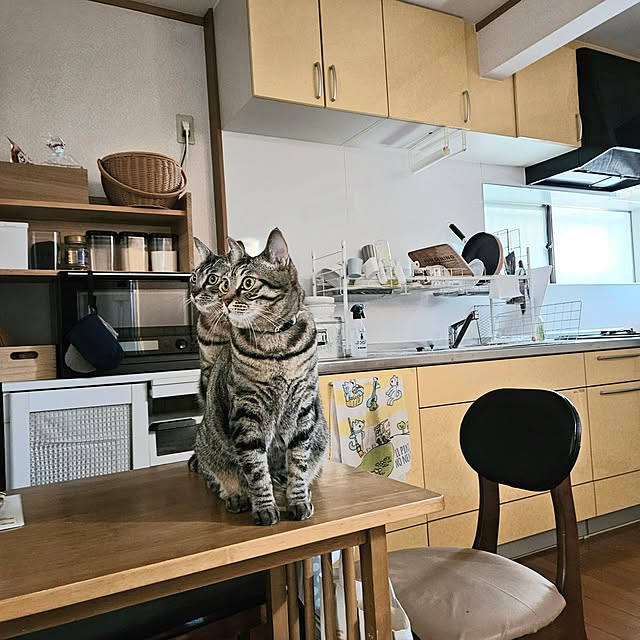 guriさんの実例写真