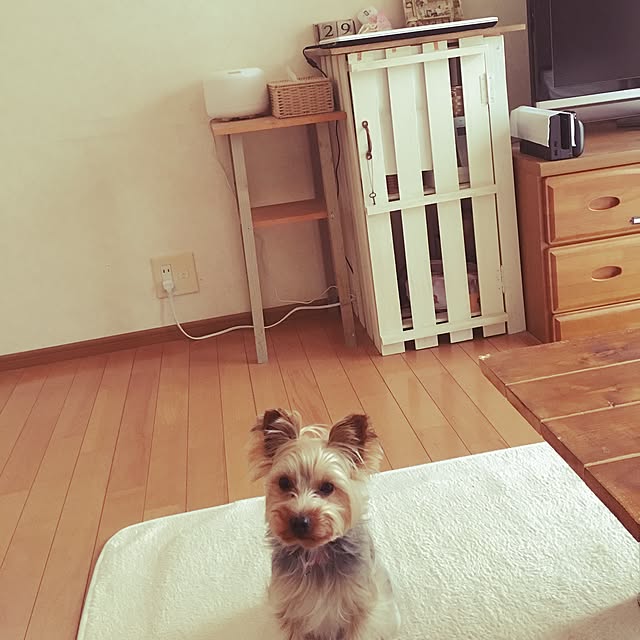 mayuoさんの実例写真