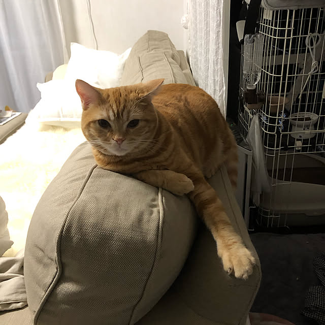 Atelier.mさんの実例写真