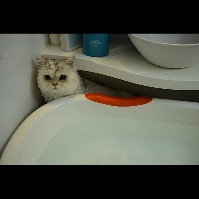 hirokinouさんの実例写真