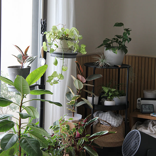 busho_no_hahaさんの部屋