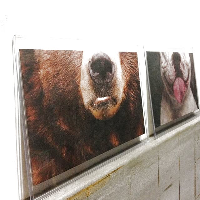 shinobunさんの実例写真