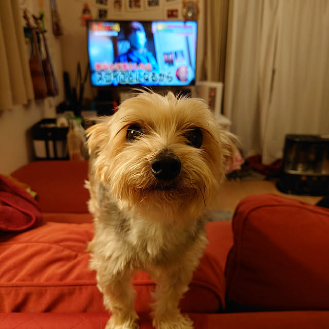 321さんの実例写真