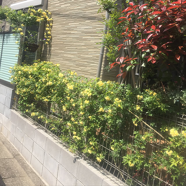 fu-mufumuさんの実例写真